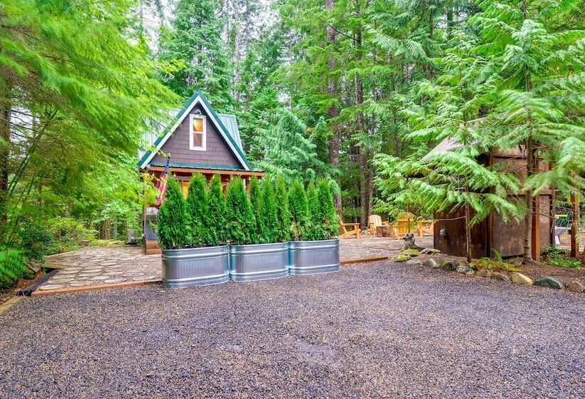 Adorable A Frame Cabin, Steps To Lake Cushman!