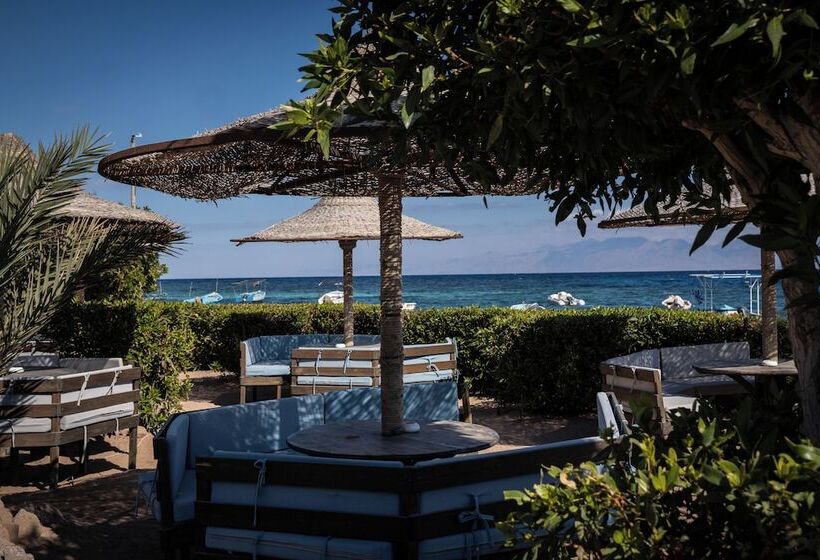 تختخواب و صبحانه Eldorado Lodge & Restaurant