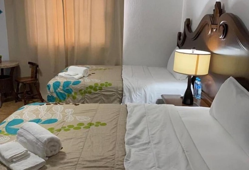 Cabo Tortuga Hotel Boutique