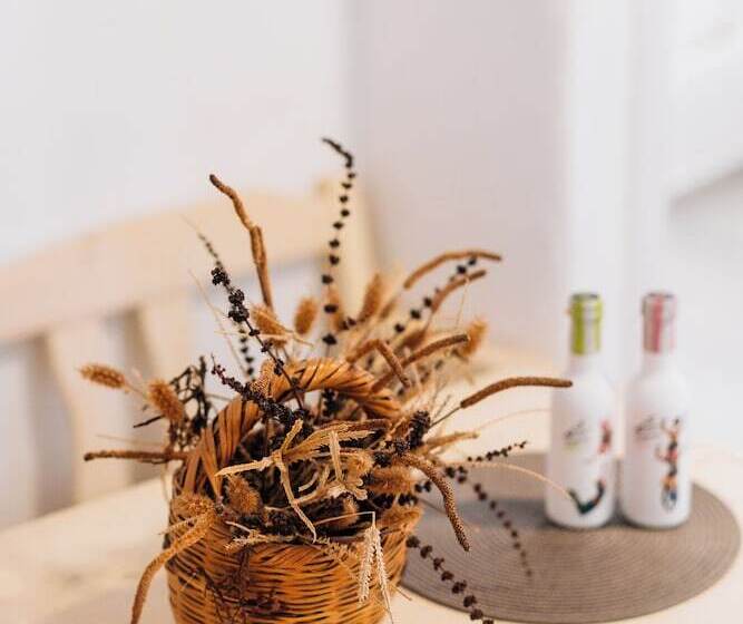 Eressian Lodgings Apartments