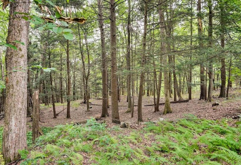 Fully Remodeled Saugerties Retreat On 7 Acres!