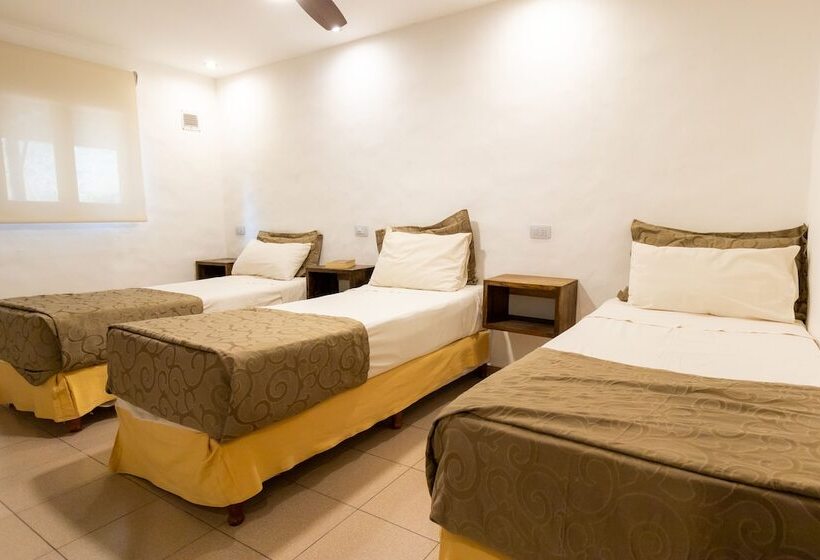 فندق Cabañas Del Cerro