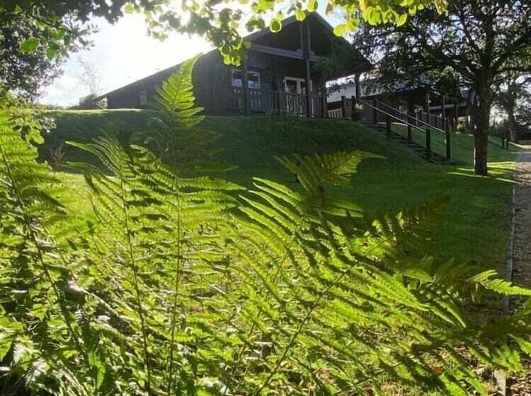 فندق Hollybush Lodges