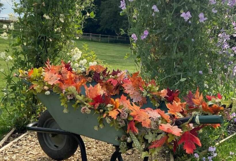 فندق Hollybush Lodges