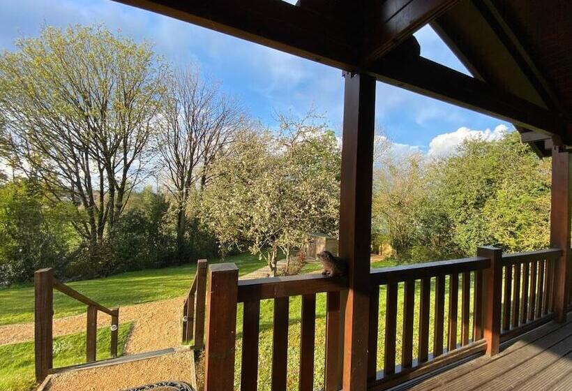 فندق Hollybush Lodges