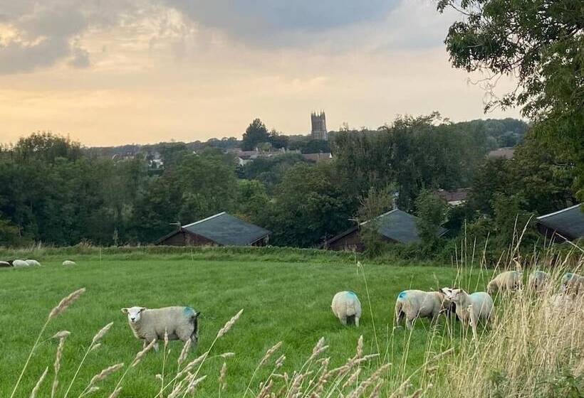 فندق Hollybush Lodges