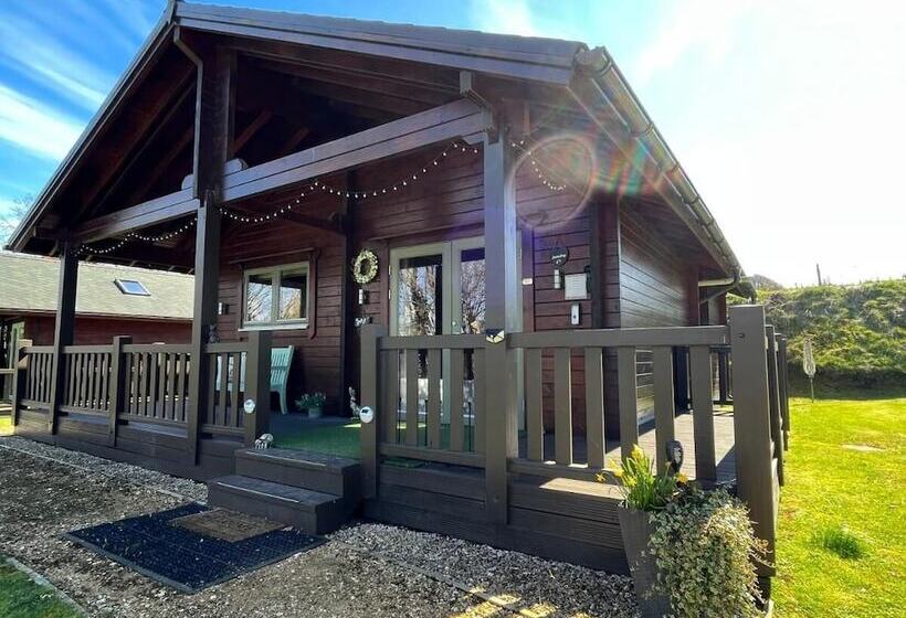 فندق Hollybush Lodges