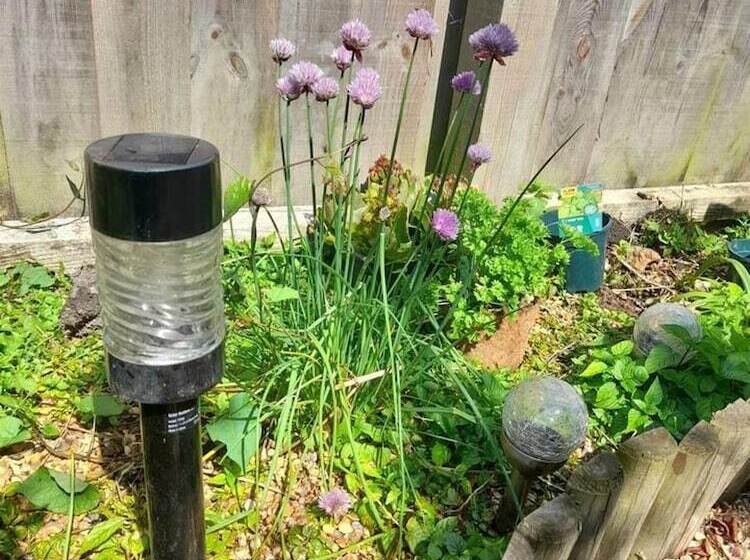 Impeccable 3 Bed 2 Bath Central Cowes Cottage