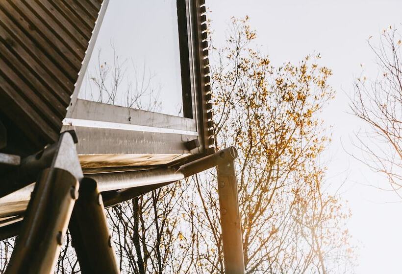 K3 Kudhva Treehouse Cabin In Tintagel