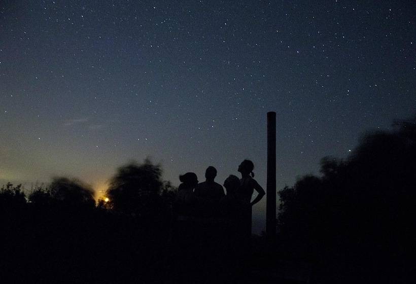 K4 Kudhva Treehouse Cabin With Sea View