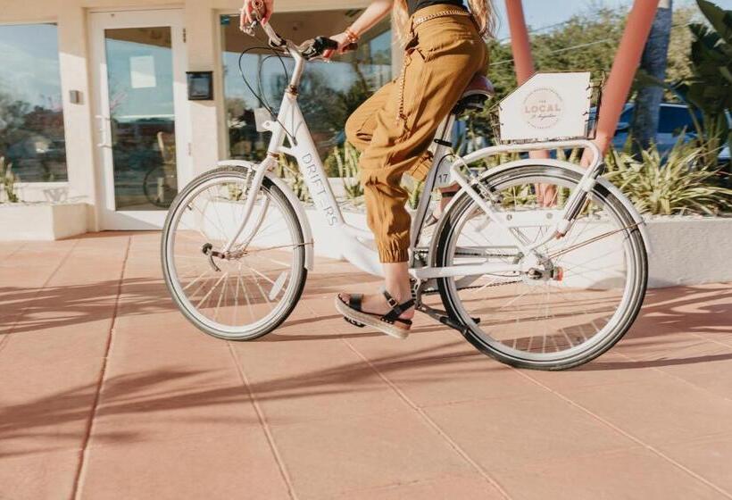 汽车旅馆  The Local   St. Augustine