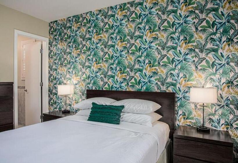 Мотель The Local   St. Augustine