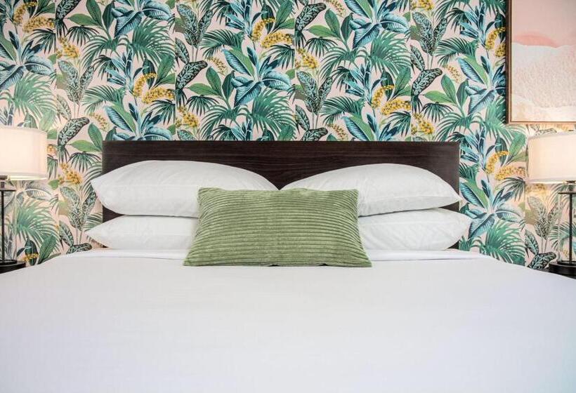 汽车旅馆  The Local   St. Augustine