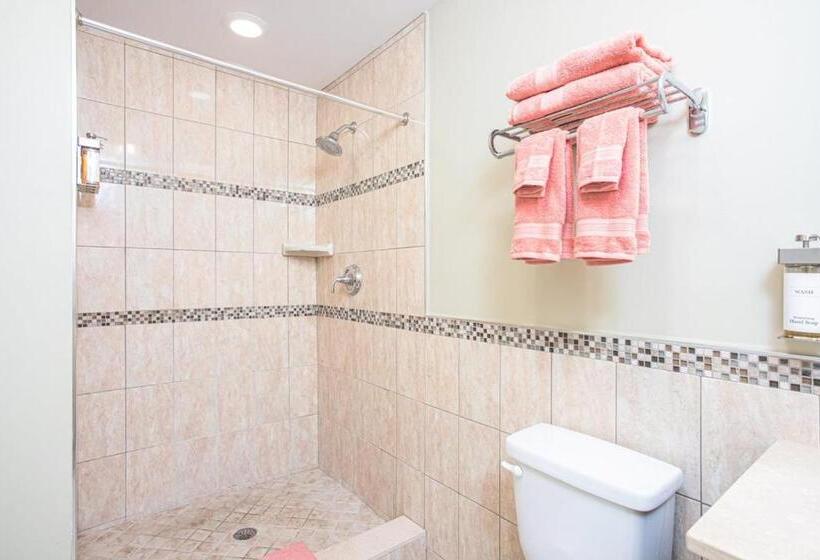 汽车旅馆  The Local   St. Augustine