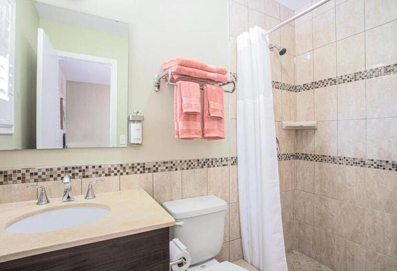 汽车旅馆  The Local   St. Augustine