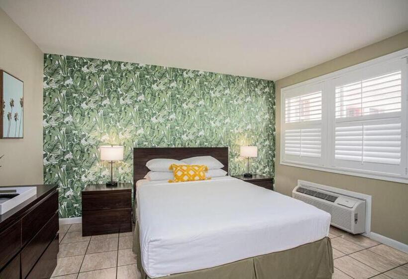 汽车旅馆  The Local   St. Augustine