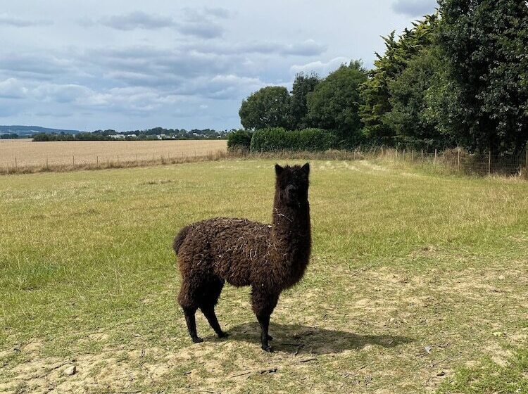 ペンション Le Clos Luly