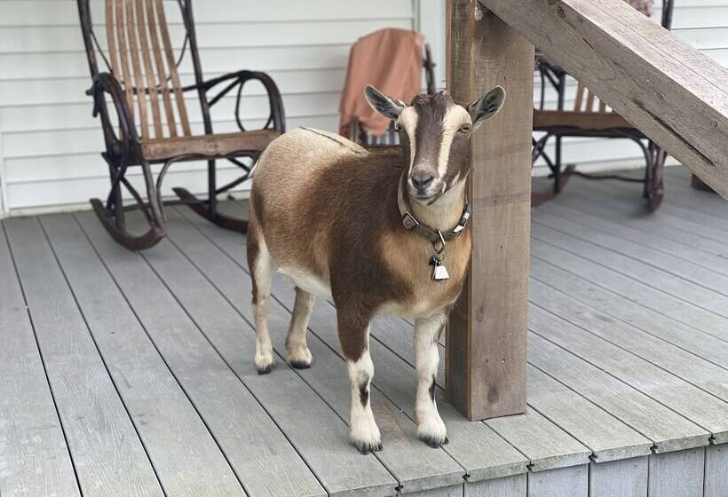 بنسيون 3547 Pleasant Run Rd