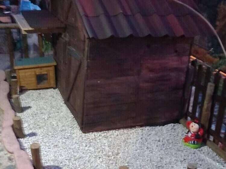 إقامة Immaculate 1 Bed House In Gois Mountain View