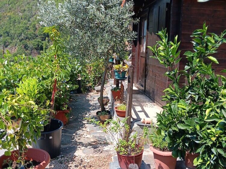 إقامة Immaculate 1 Bed House In Gois Mountain View