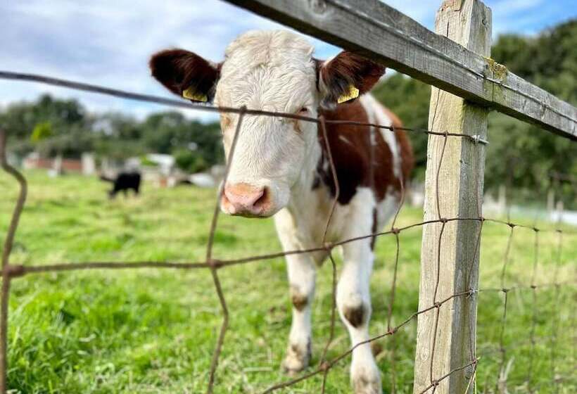 レジデンス Jonsib Cottage   A Home Away From Home