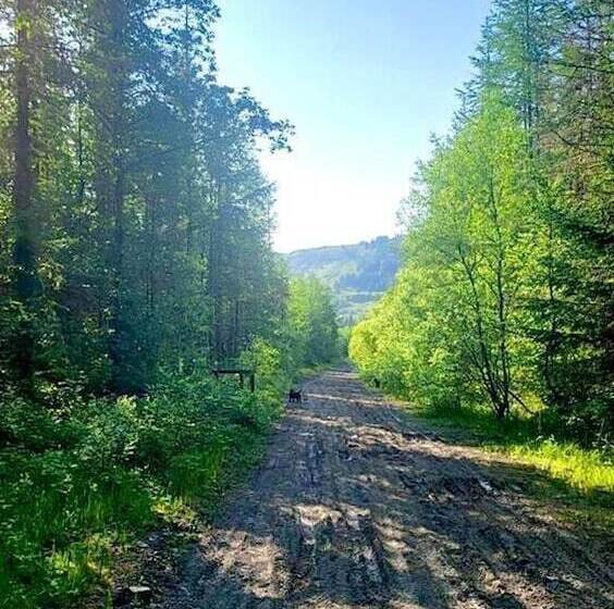 レジデンス Re Vive At Rhigos Zip World,pen Y Fan, Waterfalls