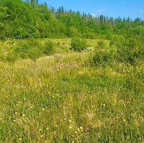 レジデンス Re Vive At Rhigos Zip World,pen Y Fan, Waterfalls