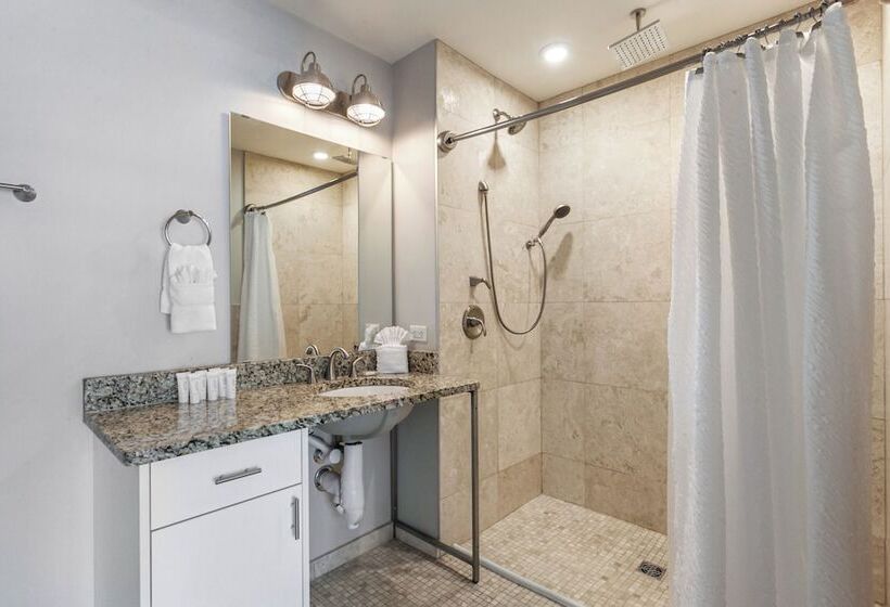 Upscale Condos And Penthouses Close To Canal & Bourbon St