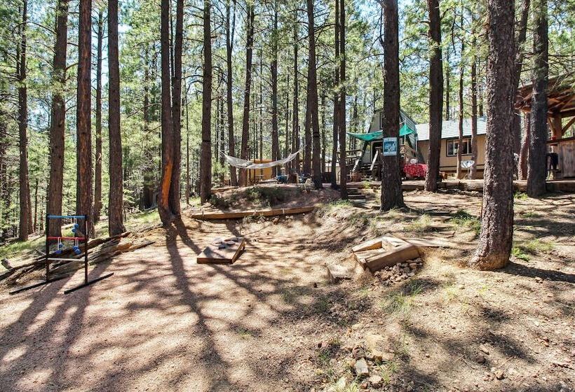 Near Trails: Forest Lake Retreat W/ Backyard Oasis
