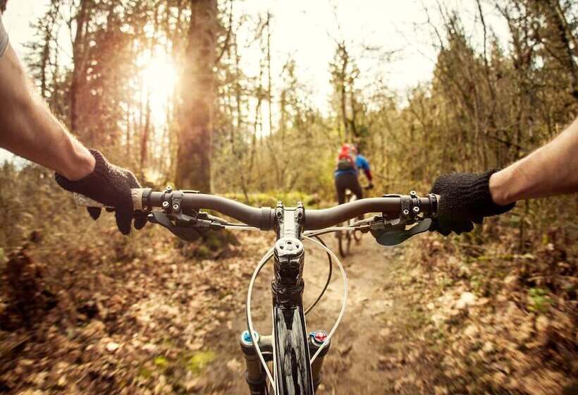 호스텔 Zenith Basecamp