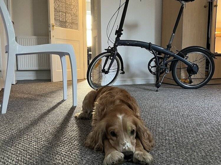 مبيت وإفطار 52 Chamberlayne Avenue