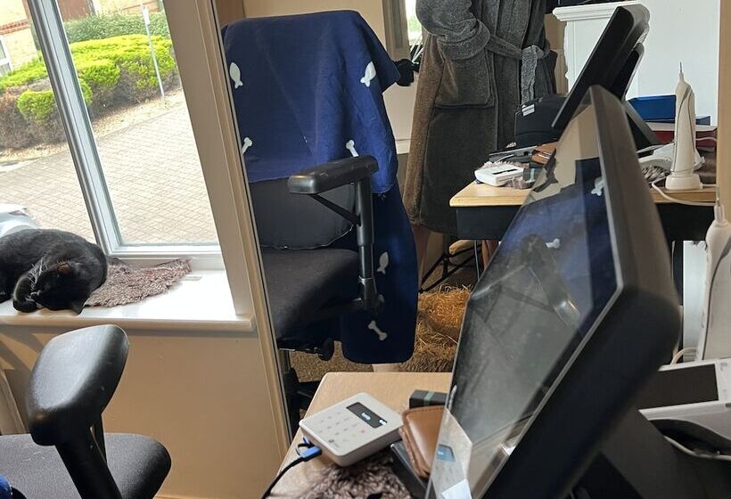 ベッドアンドブレックファースト 52 Chamberlayne Avenue