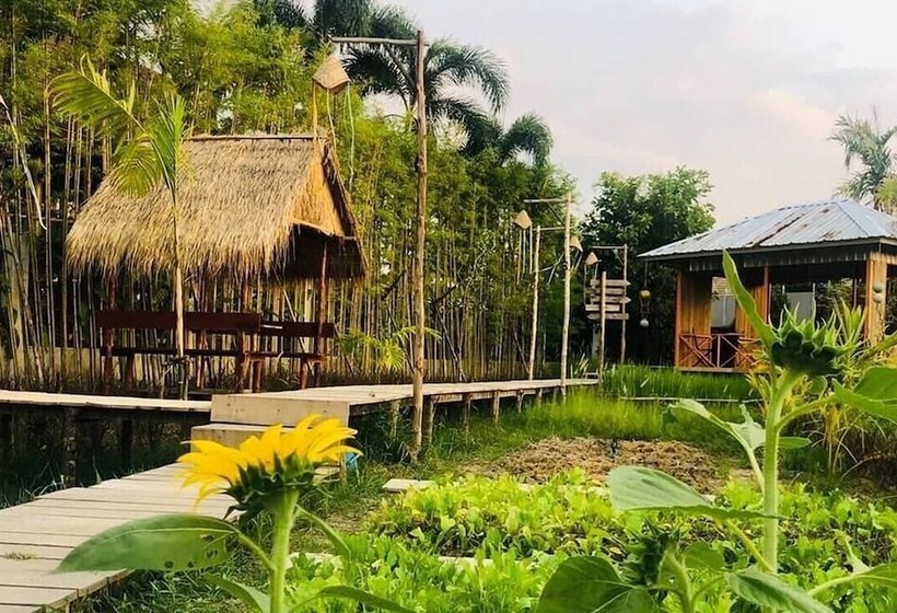 فندق Coco Paradiso Phuket