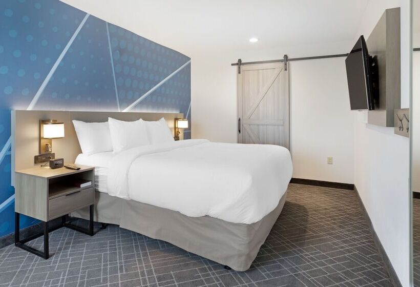 فندق Comfort Inn & Suites Us 60