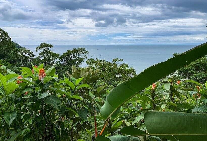 בית מלון כפרי Drake Bay Sunset Lodge