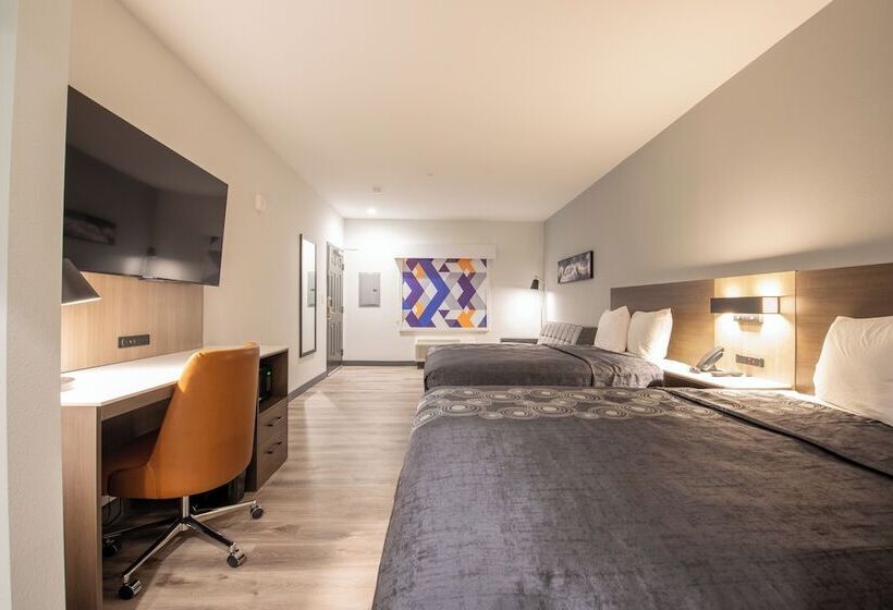 ホテル Express Inn&suites