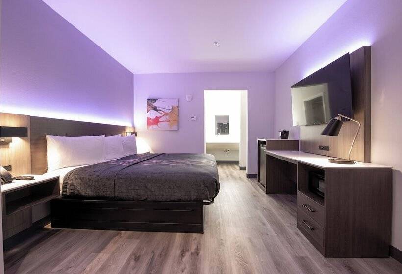 ホテル Express Inn&suites