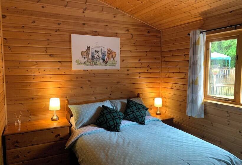 ホテル Immaculate 3 Bed Lodge In Hawick