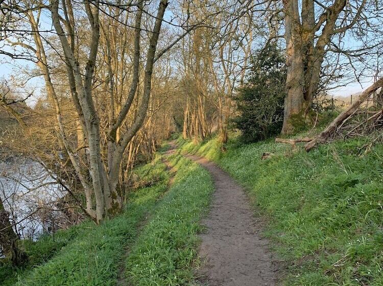 ホテル Immaculate 3 Bed Lodge In Hawick