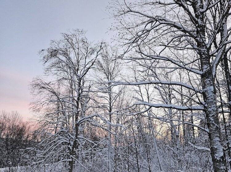 בית מלון כפרי Parc Du Mont Citadelle