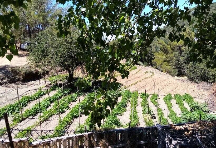 فندق ريفى Akros Oreon