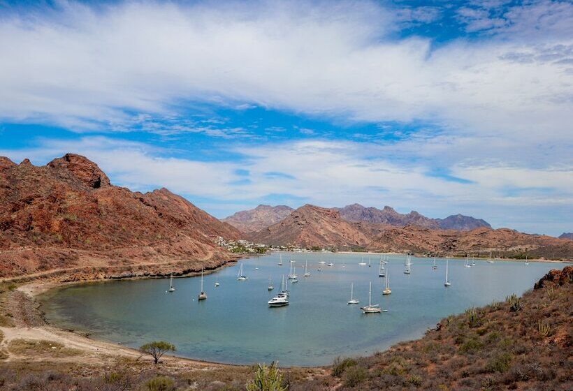 ホテル Suites Rubi