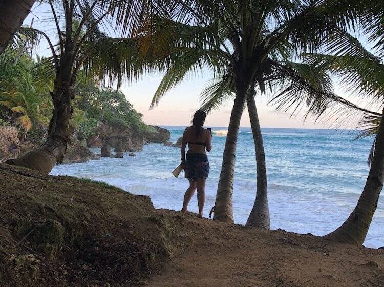 فندق Surfbreak Cabarete B&b Surf And Yoga