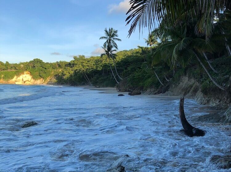 فندق Surfbreak Cabarete B&b Surf And Yoga