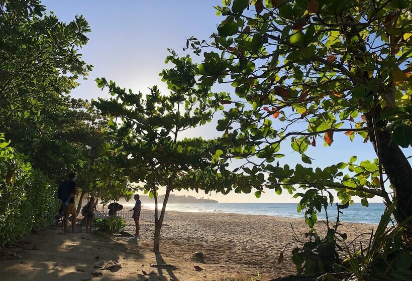 فندق Surfbreak Cabarete B&b Surf And Yoga