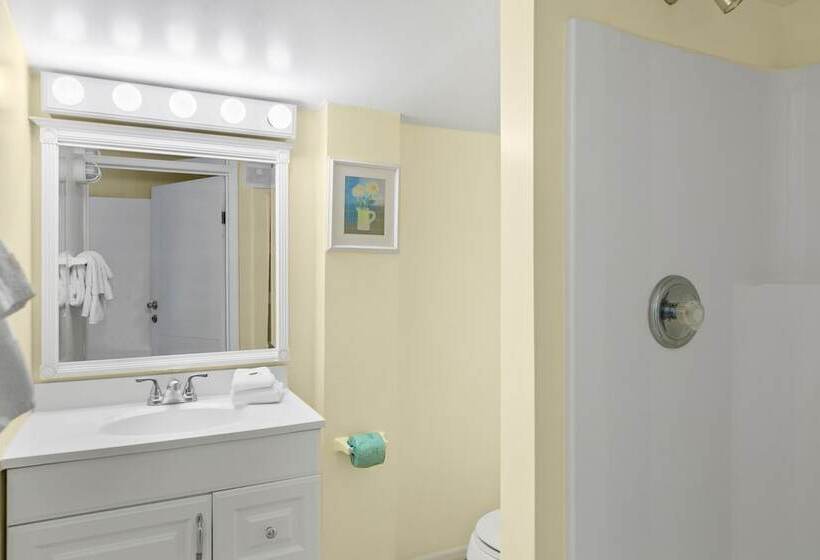 Отель The Palmview And Sandpiper Inns