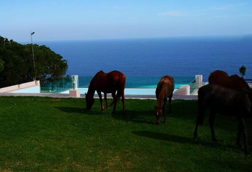 ホテル Tsitsikamma On Sea Resort