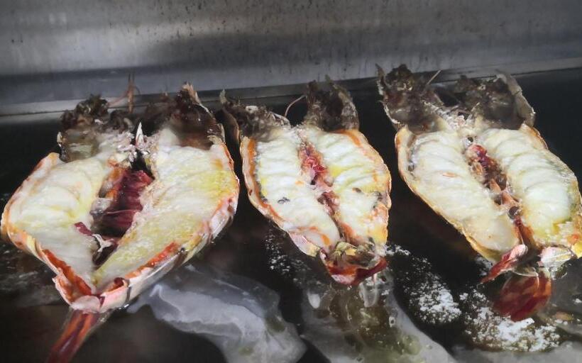 ホテル Tsitsikamma On Sea Resort