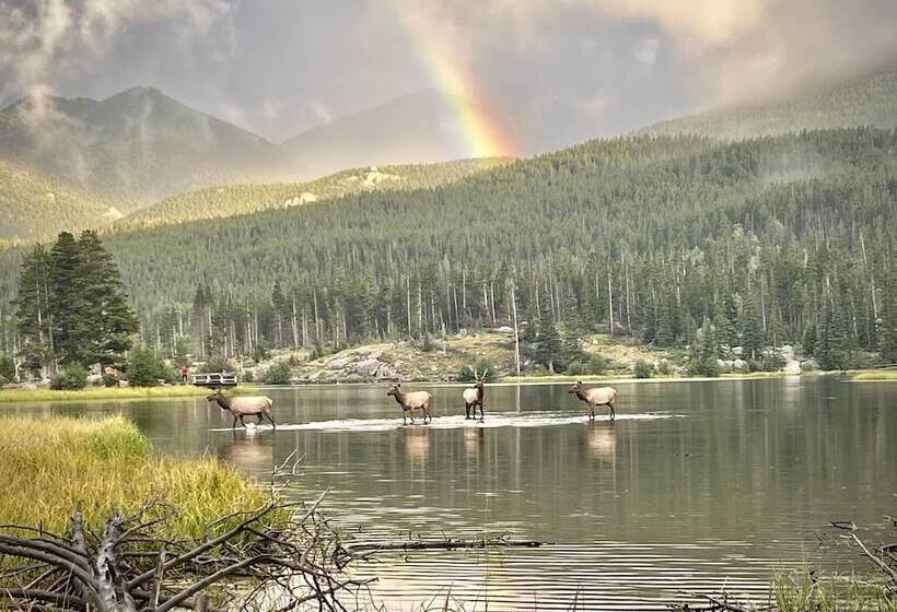 Mountain Shadows Resort