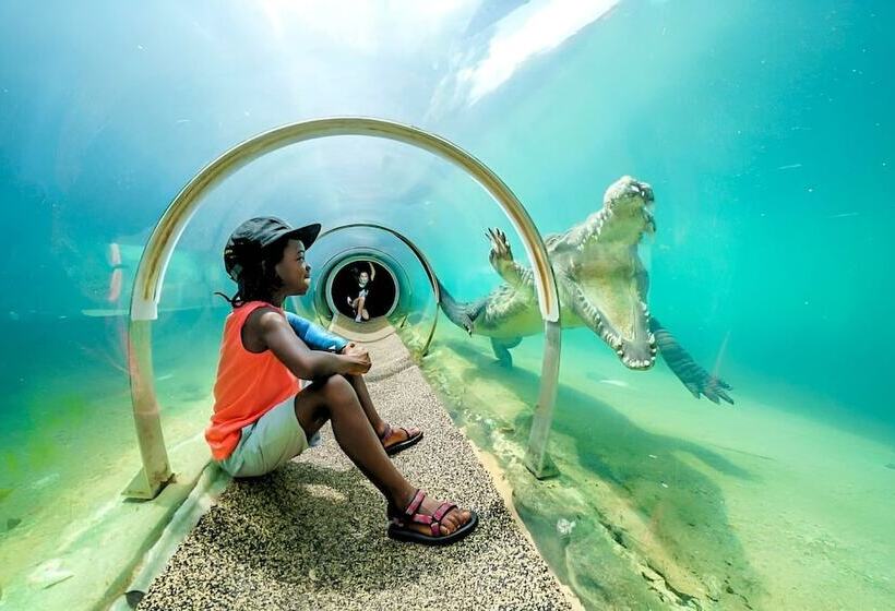 بنسيون Chic Ocean Miami 88